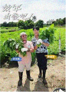 瓜子影视学习路径第三阶段 剪辑台时间线